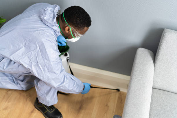 Best Pest Exclusion Services  in Snyder, TX